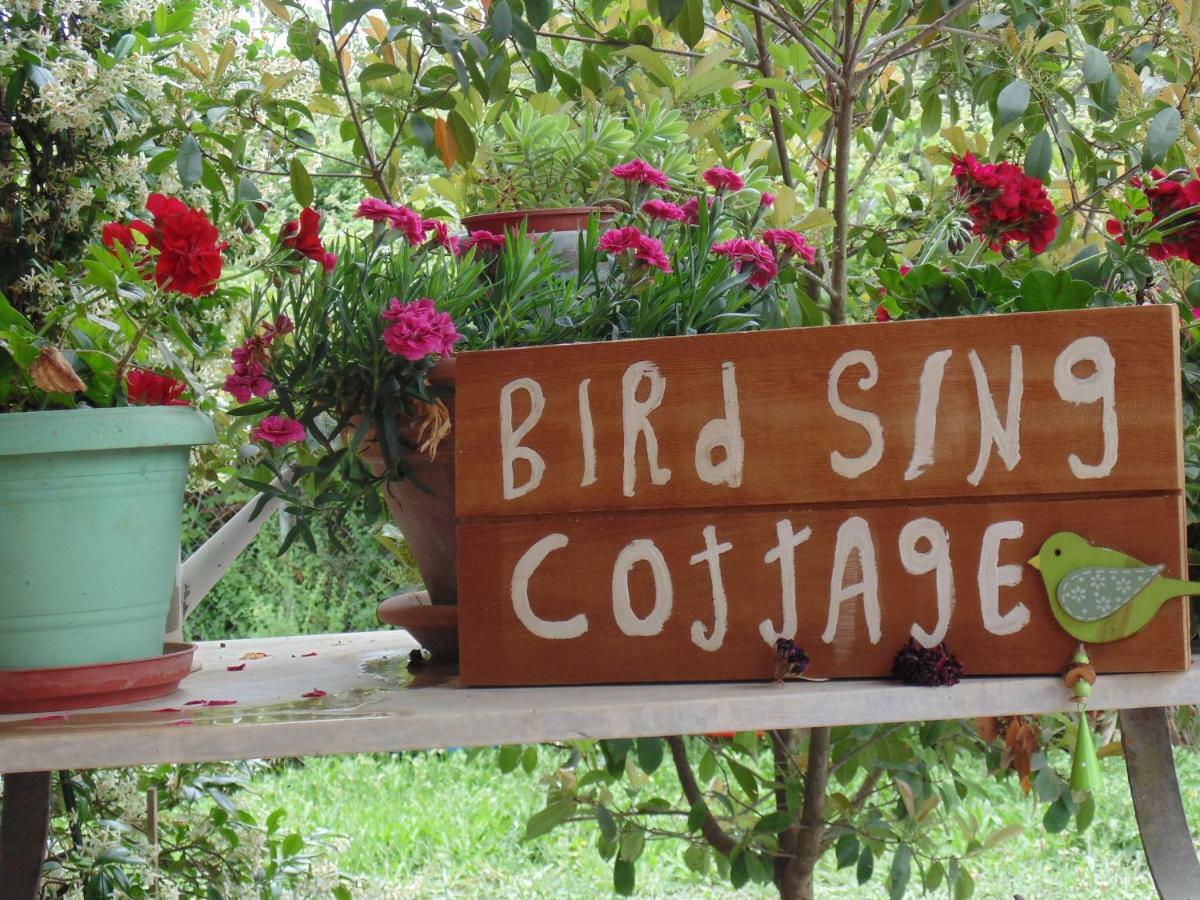 Birdsing Cottage Dassia  Extérieur photo
